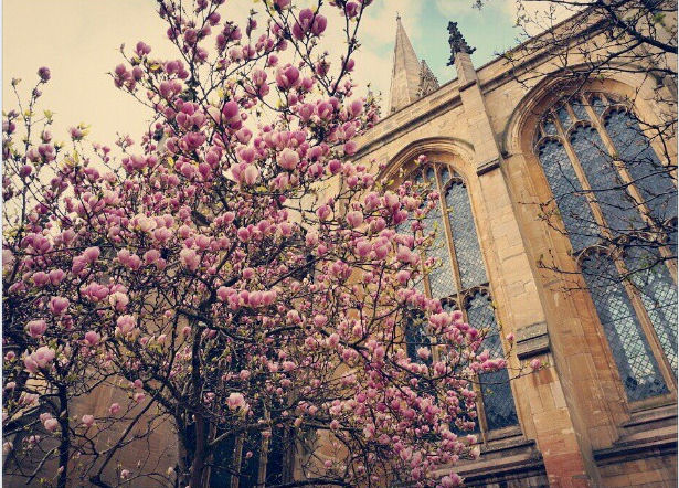 SNSD_Taeyeon_Oxford_5