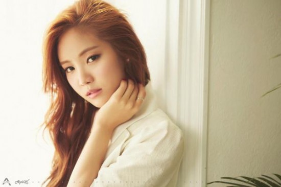 A-Pink_1415546605_20141109_apink1